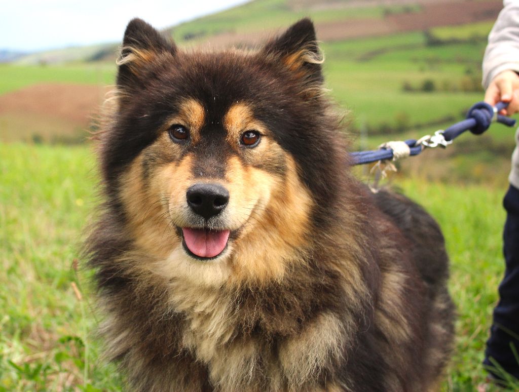 Tampere Du Domaine Louchine