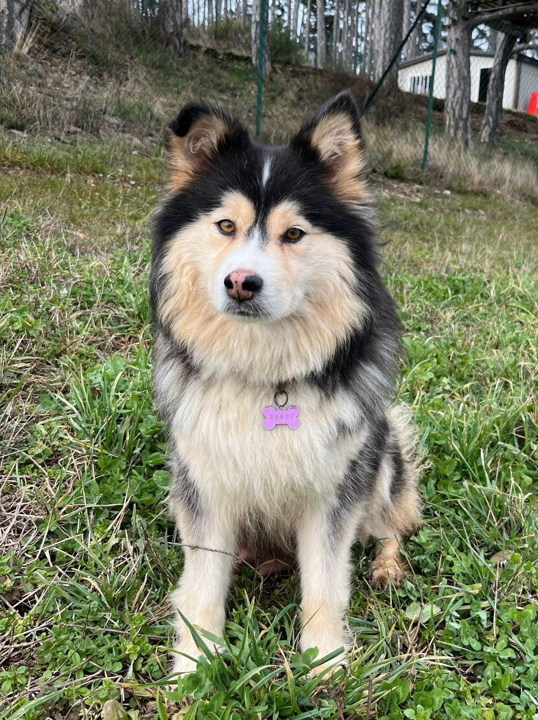 Du Domaine Louchine Suomi